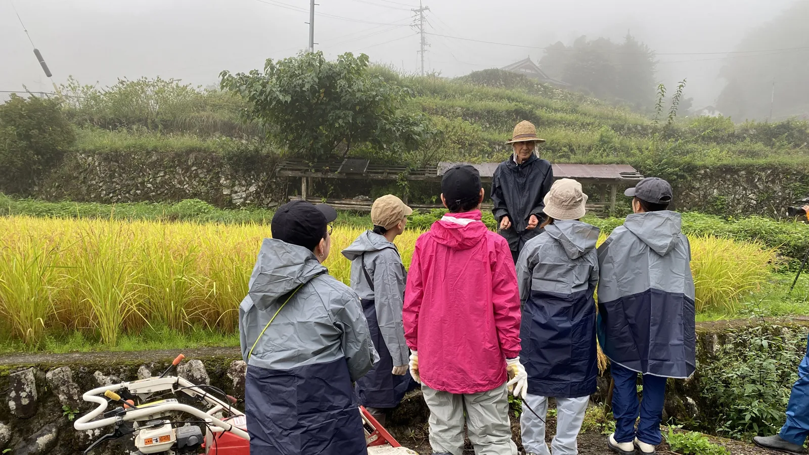 田んぼで教わる、作業のこと、土地のこと。