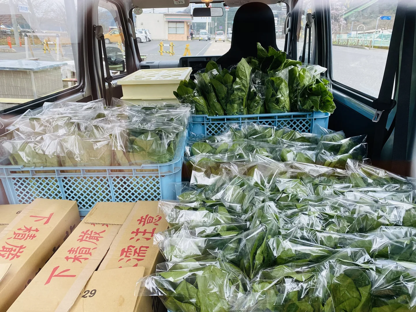 袋詰めされた野菜をかごに入れて積んだ車内